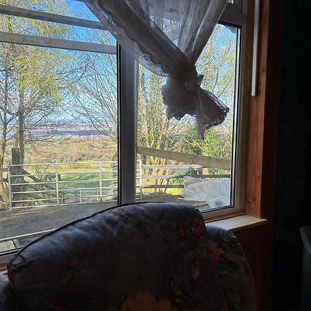 Cozy Room In A Barn With Farm View Dublin Exteriér fotografie