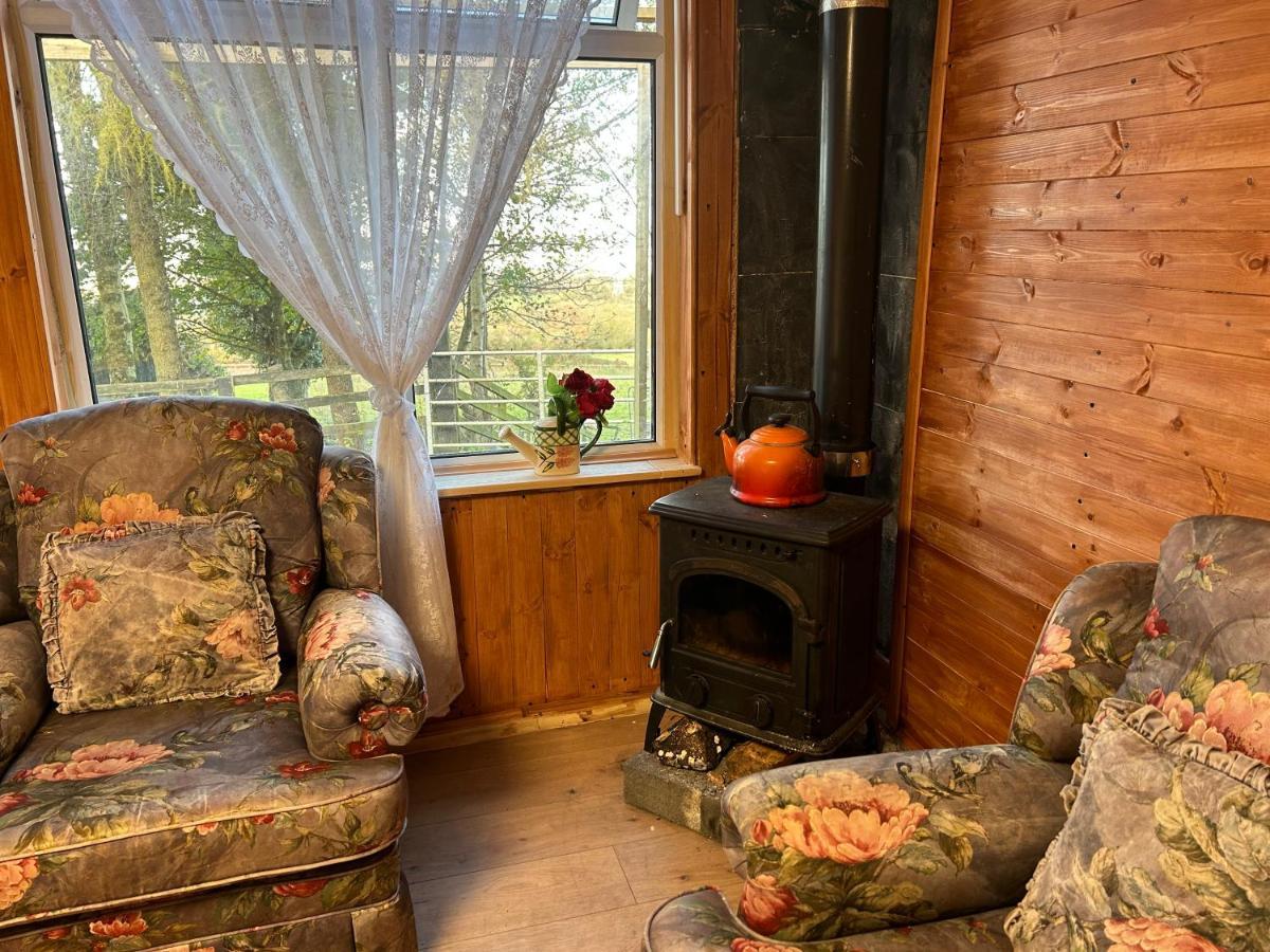 Cozy Room In A Barn With Farm View Dublin Exteriér fotografie