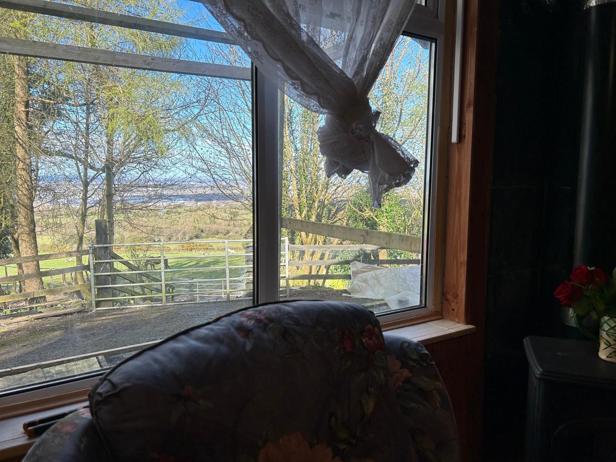 Cozy Room In A Barn With Farm View Dublin Exteriér fotografie